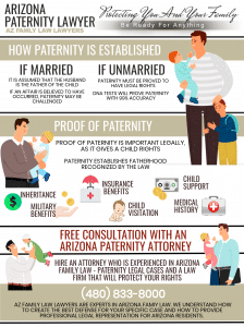 Paternity infographic